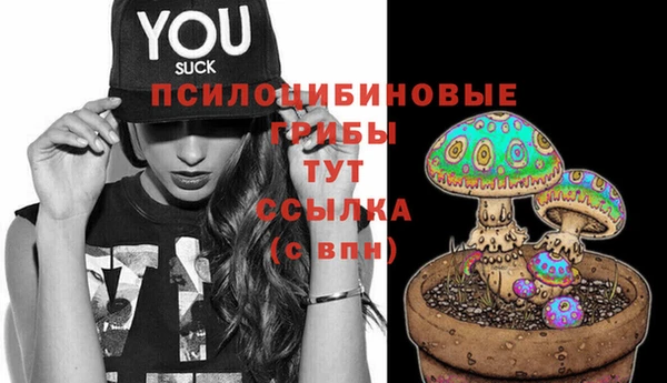 бутират Алзамай