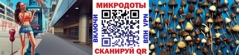 мега ССЫЛКА  Ахтубинск  Галлюциногенные грибы Cubensis  закладка 