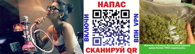 ОМГ ОМГ как войти  Ахтубинск  Бошки марихуана сатива 